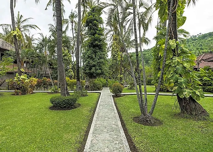 Coral View 3*
